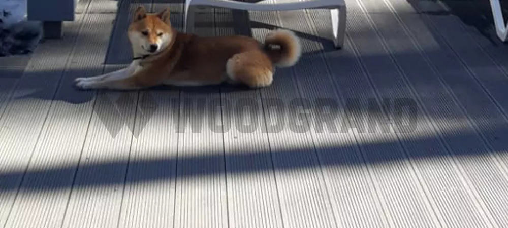 Терраса цена за м2. Сколько стоит построить террасу? 